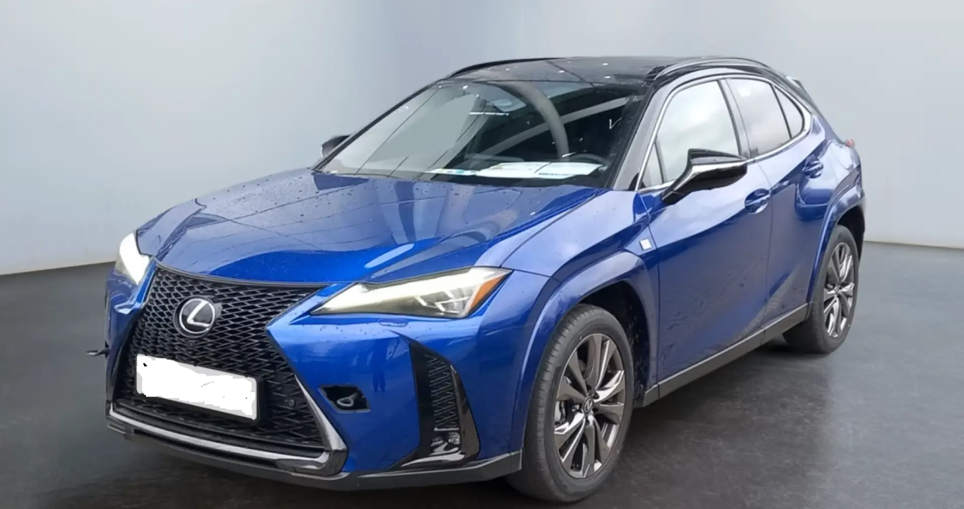 Lexus UX 300h Allrad/F SPORT*Matrix LED