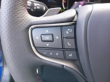 Lexus UX 300h Allrad/F SPORT*Matrix LED