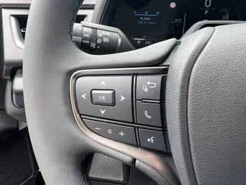 Lexus UX 300 h F Sport Design.LED.Kamera
