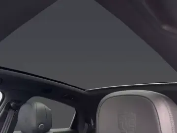 Porsche Cayenne E-Hybrid Coupe Panoramadach InnoDrive