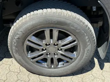 Ranger Wildtrak Doppelkabine4x4 AHK KAMERA LED.