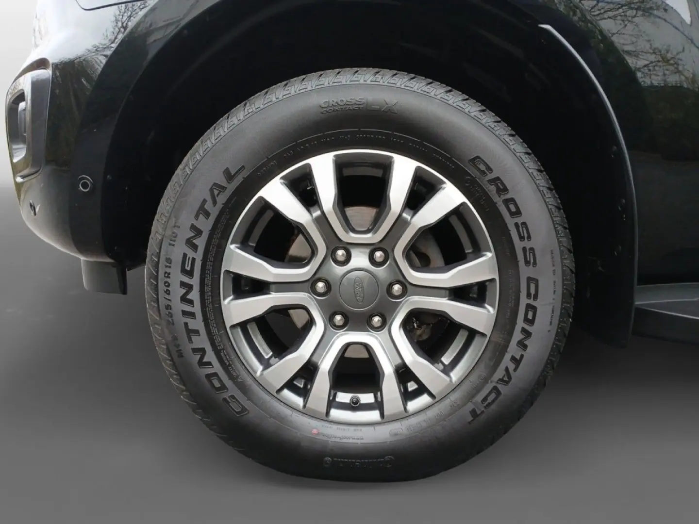 Ranger Wildtrak Doppelkabine NAVI^ PDC^ RFK^