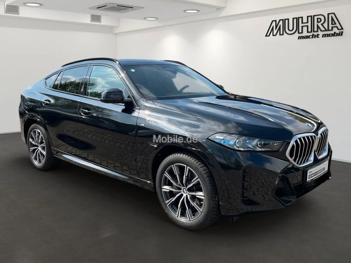 X6 xDrive40i 2-Achs Luftfd. Pano Sky Sthzg. AHK 