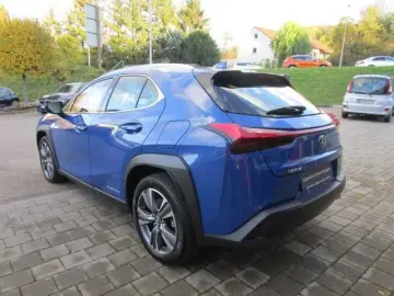 UX 300e Luxury Line