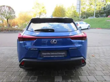 UX 300e Luxury Line