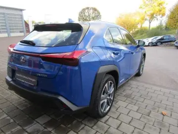UX 300e Luxury Line