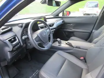 UX 300e Luxury Line