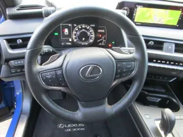 UX 300e Luxury Line