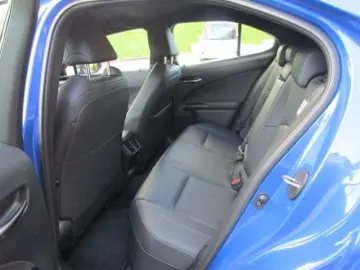 UX 300e Luxury Line