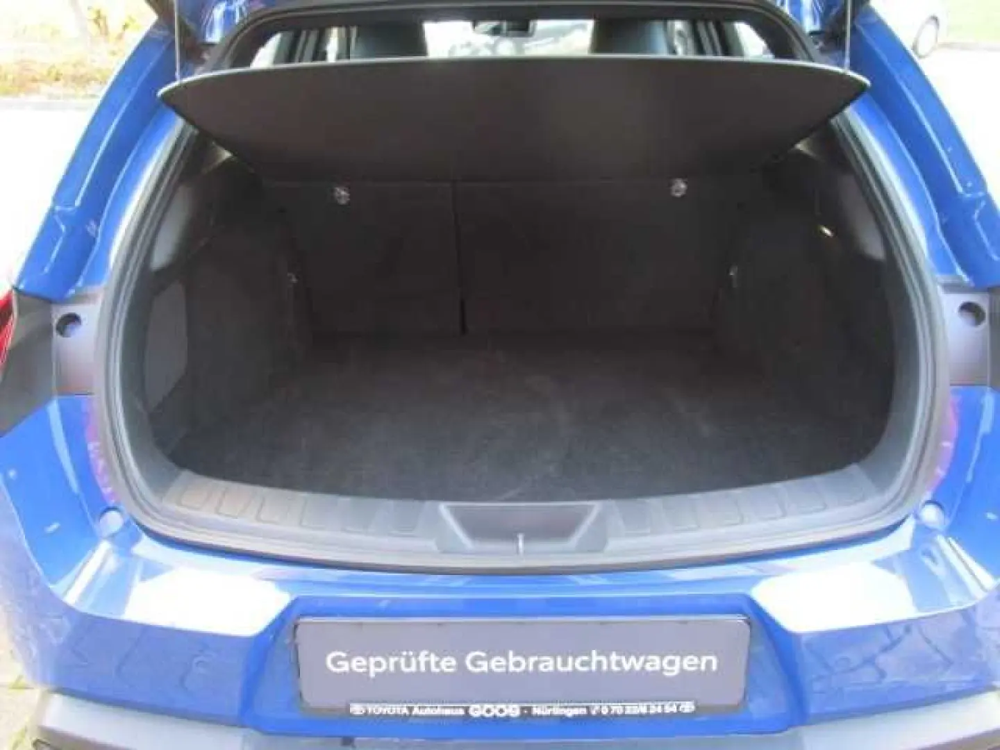 UX 300e Luxury Line