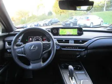 UX 300e Luxury Line