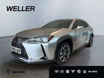 UX 250h Style Edition  LED CarPlay CAM Spurhalte