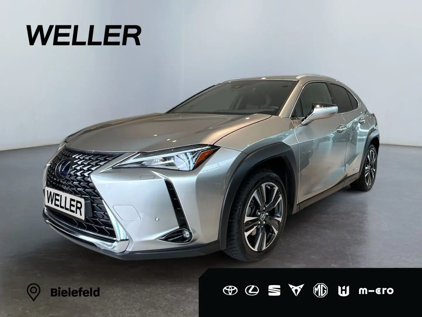 UX 250h Style Edition *LED*CarPlay*CAM*Spurhalte