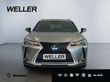 UX 250h Style Edition *LED*CarPlay*CAM*Spurhalte