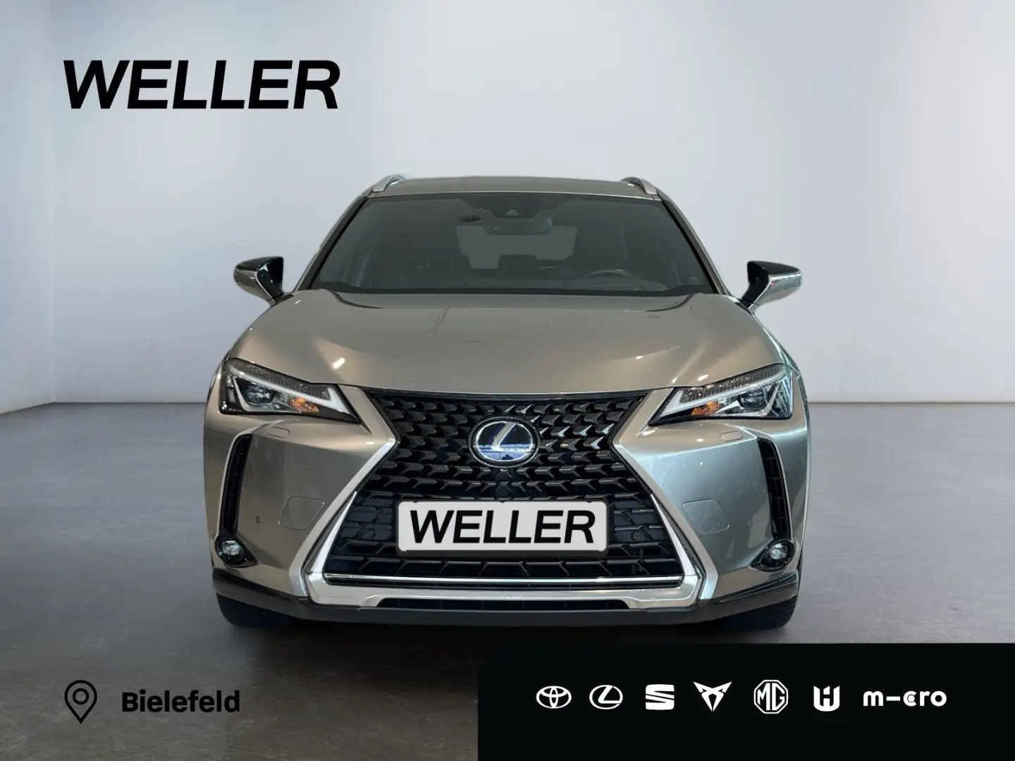 UX 250h Style Edition *LED*CarPlay*CAM*Spurhalte