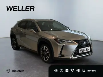 UX 250h Style Edition *LED*CarPlay*CAM*Spurhalte