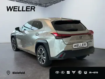 UX 250h Style Edition *LED*CarPlay*CAM*Spurhalte