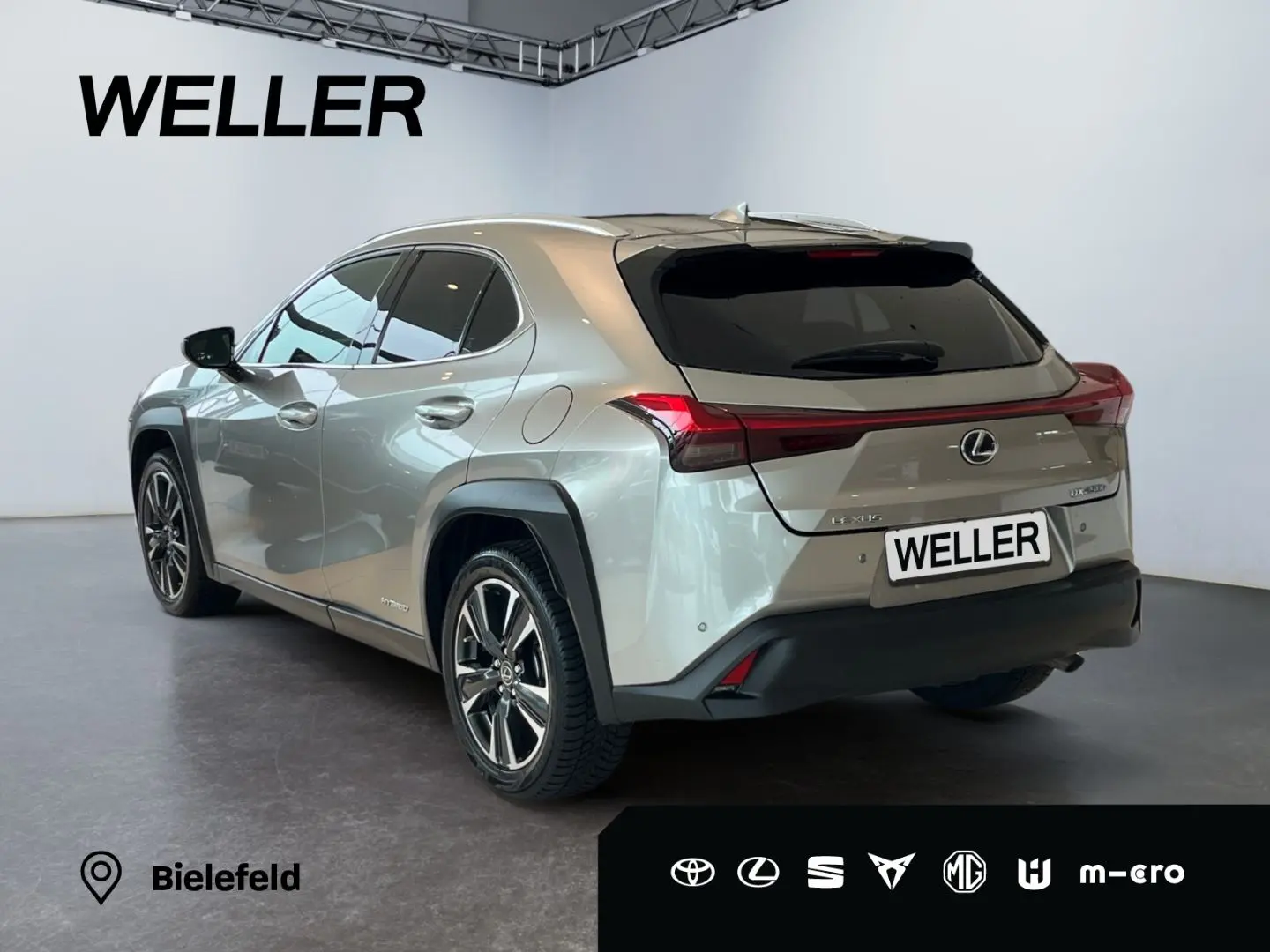 UX 250h Style Edition *LED*CarPlay*CAM*Spurhalte