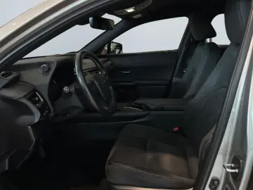 UX 250h Style Edition *LED*CarPlay*CAM*Spurhalte