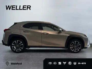 UX 250h Style Edition *LED*CarPlay*CAM*Spurhalte