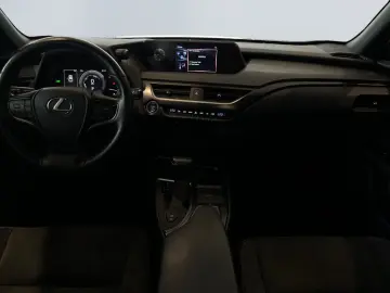 UX 250h Style Edition *LED*CarPlay*CAM*Spurhalte