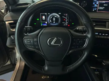 UX 250h Style Edition *LED*CarPlay*CAM*Spurhalte