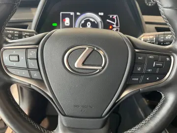 UX 250h Style Edition *LED*CarPlay*CAM*Spurhalte
