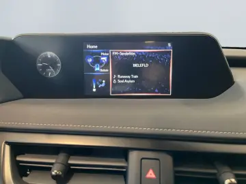 UX 250h Style Edition *LED*CarPlay*CAM*Spurhalte