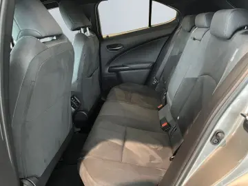 UX 250h Style Edition *LED*CarPlay*CAM*Spurhalte