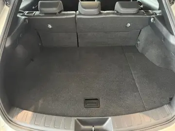 UX 250h Style Edition *LED*CarPlay*CAM*Spurhalte