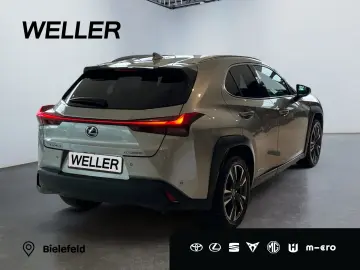 UX 250h Style Edition *LED*CarPlay*CAM*Spurhalte