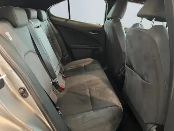 UX 250h Style Edition *LED*CarPlay*CAM*Spurhalte