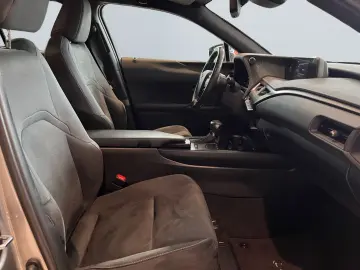 UX 250h Style Edition *LED*CarPlay*CAM*Spurhalte