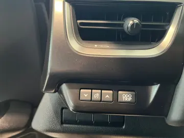 UX 250h Style Edition *LED*CarPlay*CAM*Spurhalte