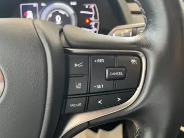 UX 250h Style Edition *LED*CarPlay*CAM*Spurhalte
