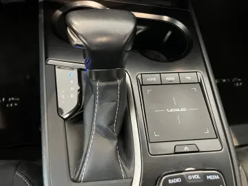UX 250h Style Edition *LED*CarPlay*CAM*Spurhalte