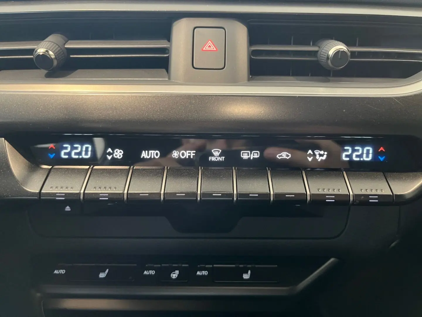 UX 250h Style Edition *LED*CarPlay*CAM*Spurhalte