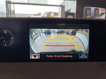 UX 250h Style Edition *LED*CarPlay*CAM*Spurhalte