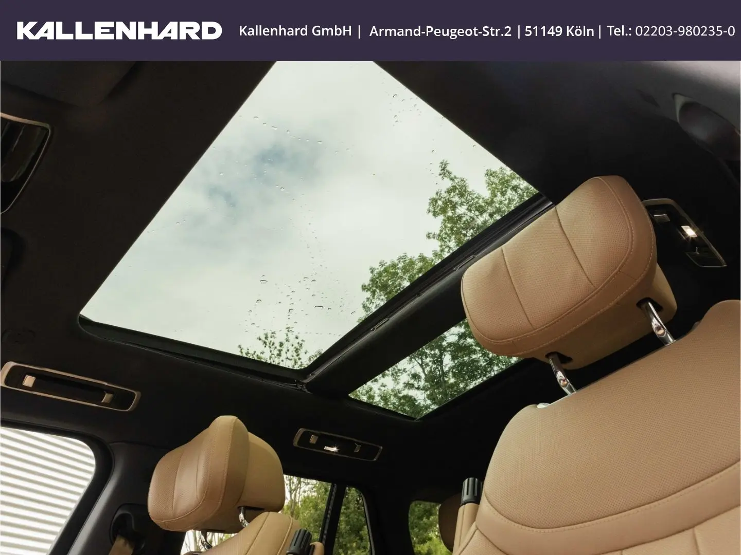 Range Rover P550e-Autobiography-Pano-Meridian Si