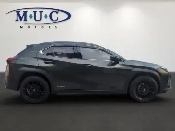 UX 250 h