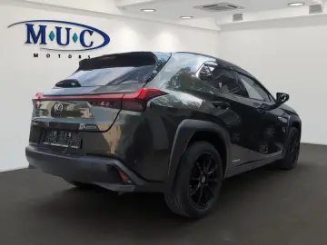 UX 250 h