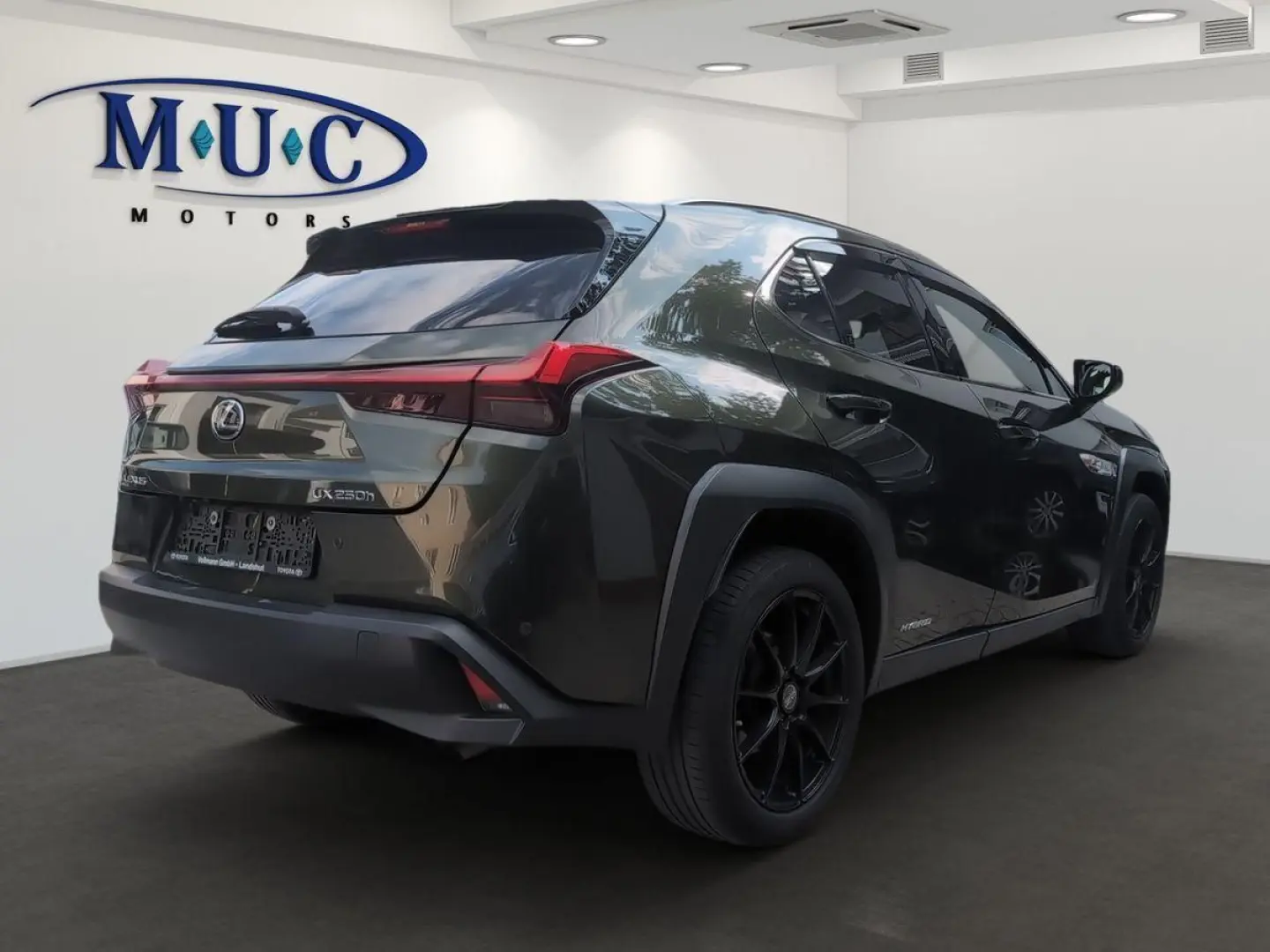 UX 250 h
