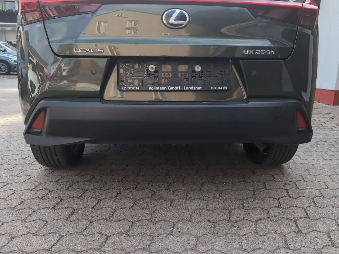 UX 250 h