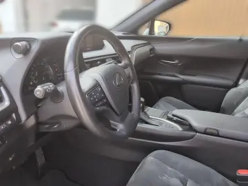 UX 250 h