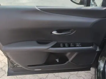 UX 250 h