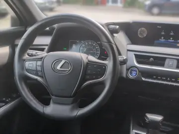 UX 250 h