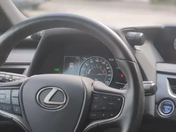 UX 250 h