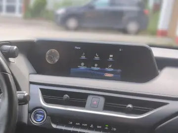 UX 250 h