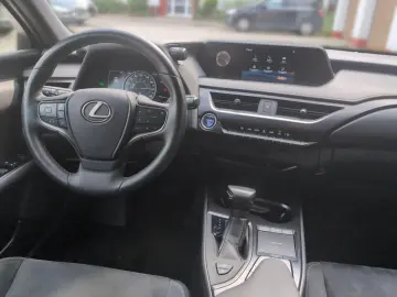 UX 250 h