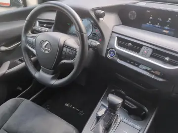 UX 250 h